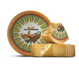 Product image TREVEZ1-01-2232da5e-4d6a-4a9f-be5a-02c57a6f39d5 - Sat Nov 08 2025 03:29:29 GMT+0100 (Central European Standard Time)