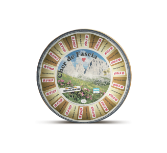 Product image TRECUFAS1-01-f0d1c648-2819-41aa-844a-bc385ca25793 - Sat Nov 08 2025 03:24:16 GMT+0100 (Central European Standard Time)