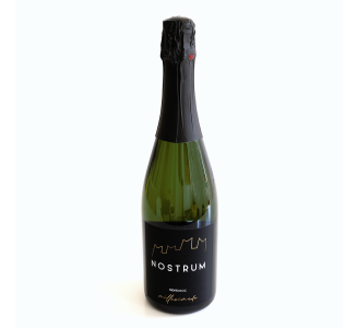 Product image nostrumspumantetrentodoc1-474517 - Tue Nov 04 2025 16:18:57 GMT+0100 (Central European Standard Time)